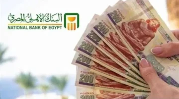 تفاصيل حساب الأهلي إكسترا توفير بعائد سنوي يصل إلى 17 في المئة